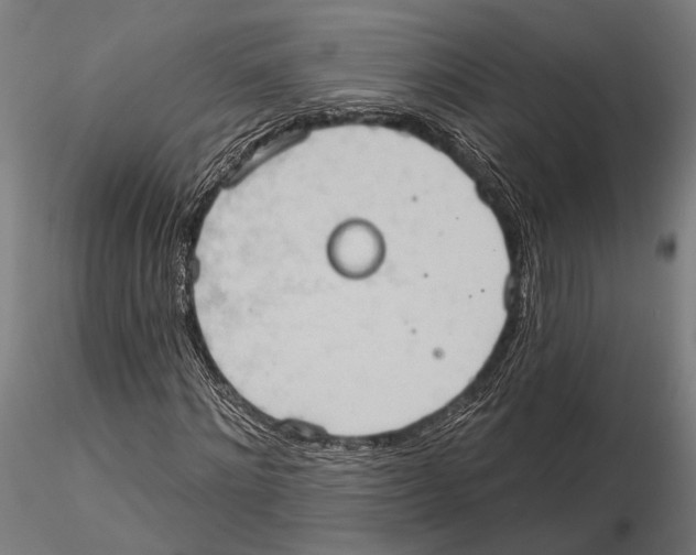 X0000115590868200912081047