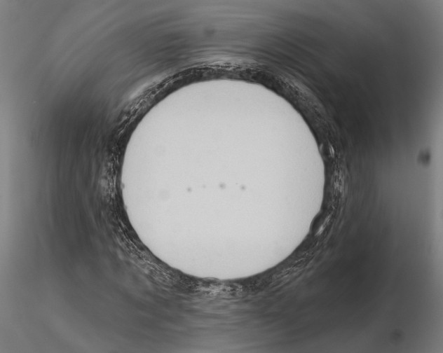 X0000115590869200912081047