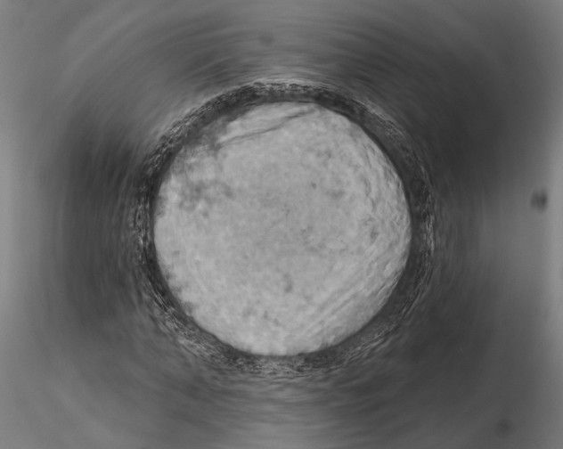 X0000115590870200912081047