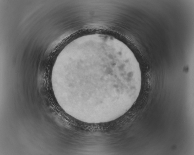 X0000115590872200912081047