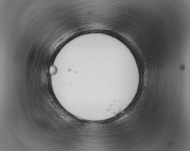 X0000115590873200912081047