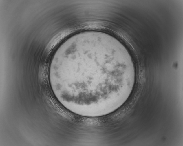 X0000115590874200912081047