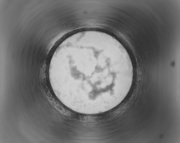 X0000115590875200912081047