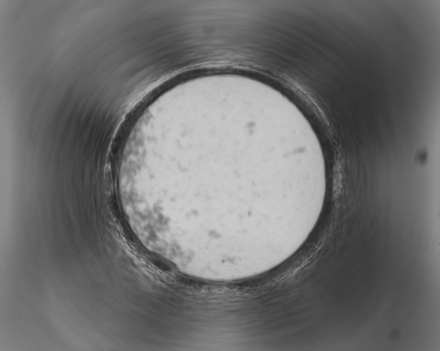 X0000115590876200912081047