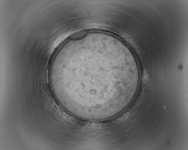 X0000115590877200912081047