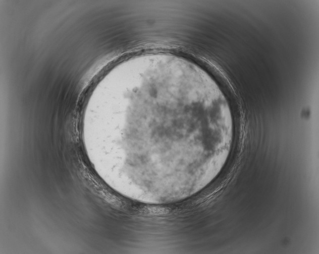 X0000115590878200912081047