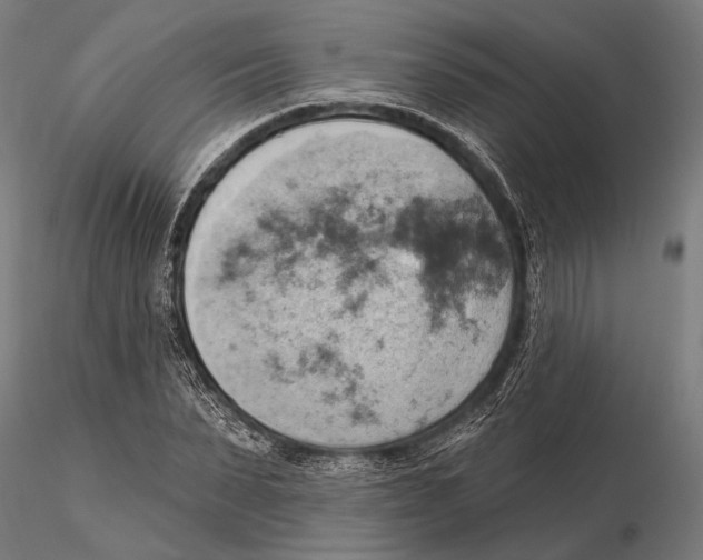 X0000115590879200912081047