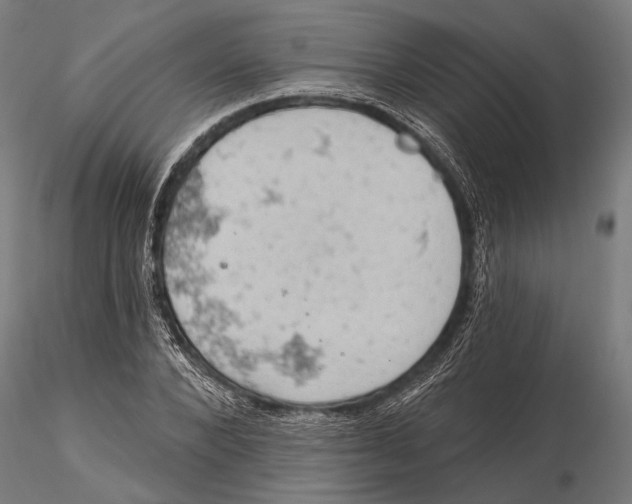 X0000115590880200912081046