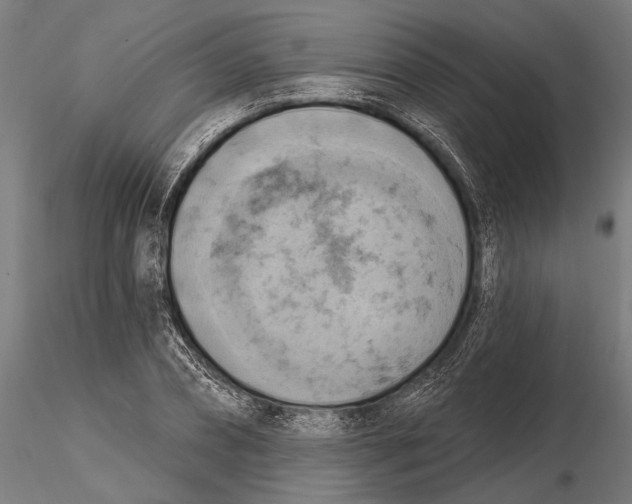 X0000115590882200912081046