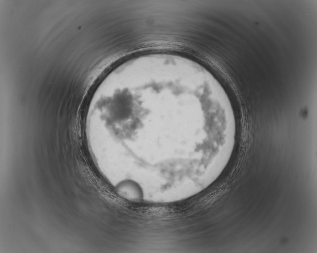 X0000115590883200912081046