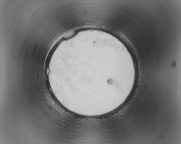 X0000115590884200912081046
