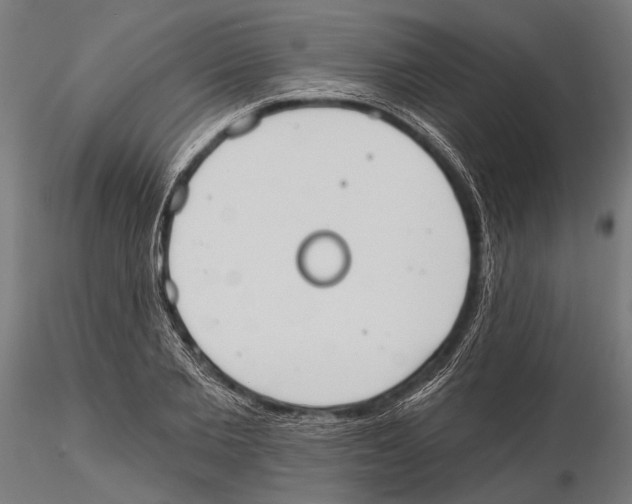 X0000115590885200912081046