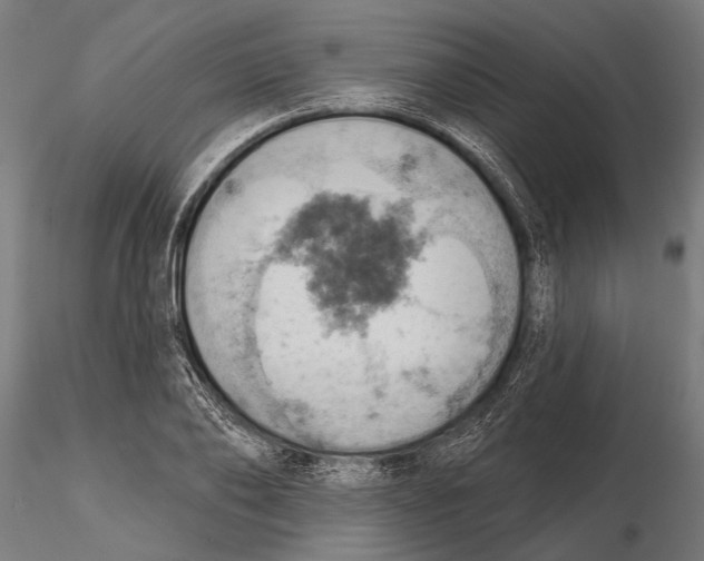 X0000115590886200912081046
