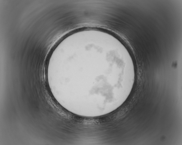 X0000115590887200912081046
