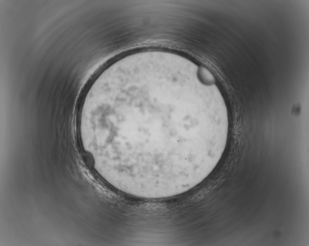 X0000115590888200912081046