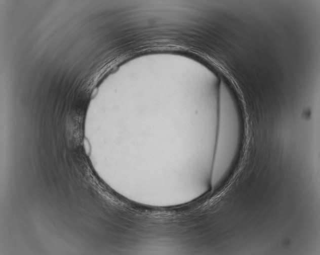 X0000115590889200912081046