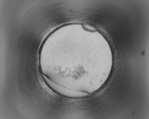 X0000115590892200912081046