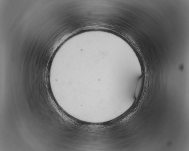 X0000115590893200912081046