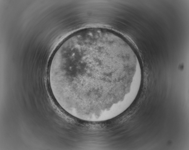 X0000115590895200912081046