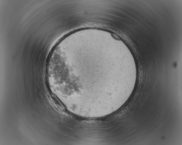 X0000115590896200912081046