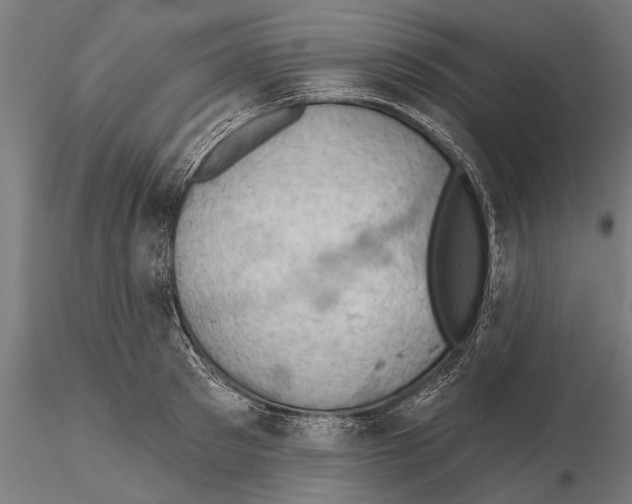 X0000115590897200912081046
