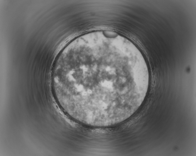 X0000115590898200912081046