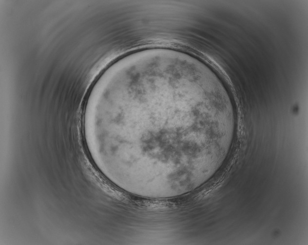 X0000115590899200912081046