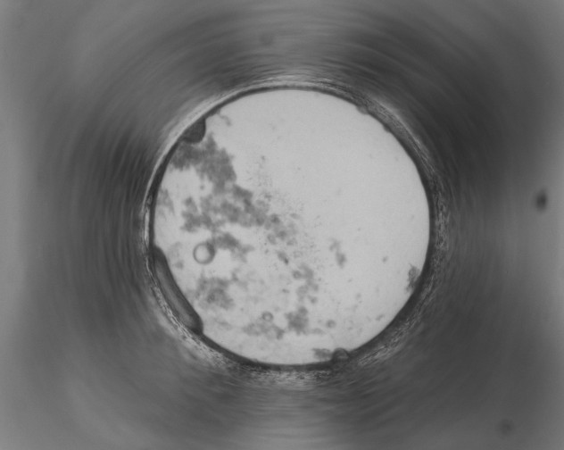 X0000115590900200912081046