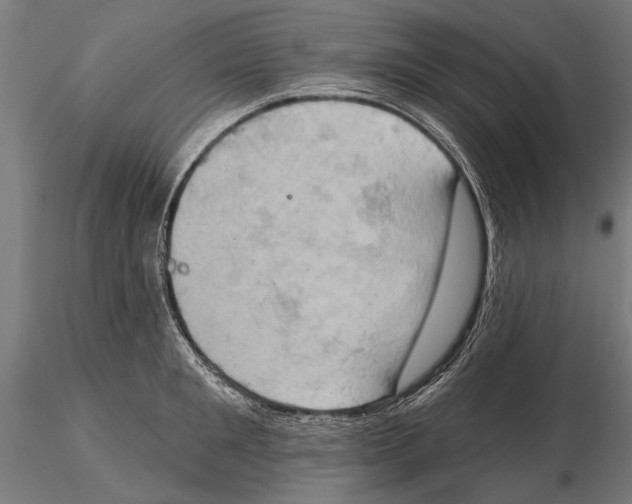 X0000115590901200912081046