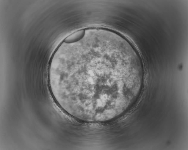 X0000115590903200912081046
