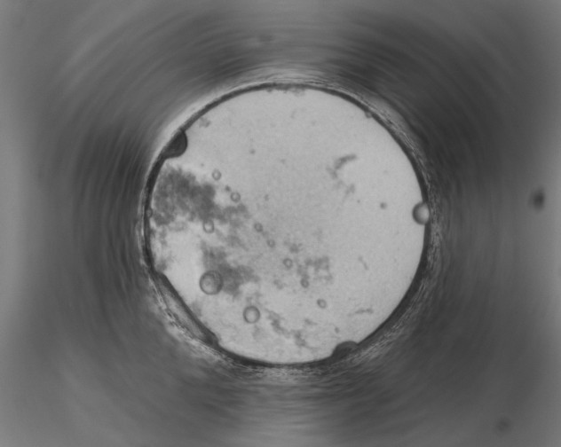 X0000115590904200912081046