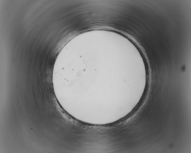 X0000115590905200912081046
