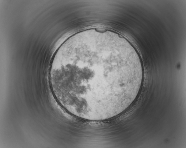 X0000115590906200912081046