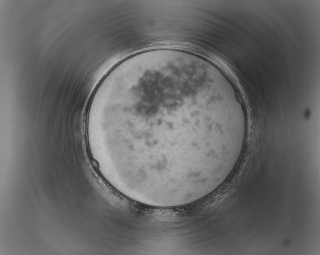 X0000115590907200912081046