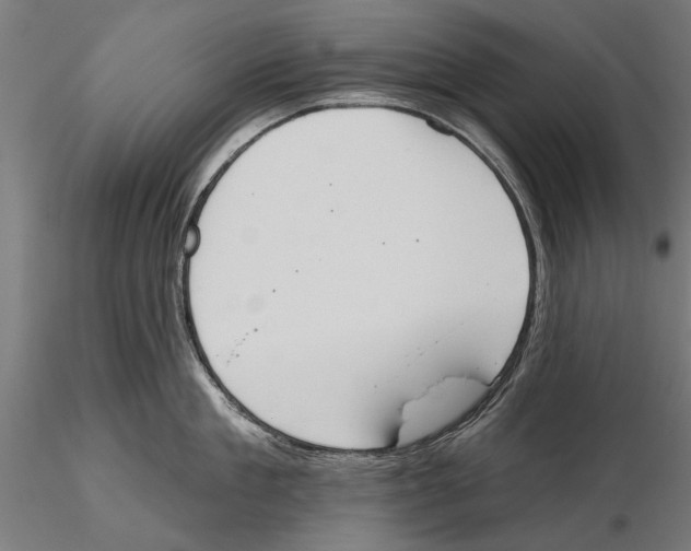 X0000115590909200912081046
