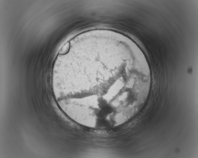 X0000115590911200912081046