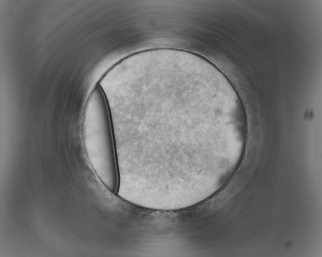 X0000115590912200912081046