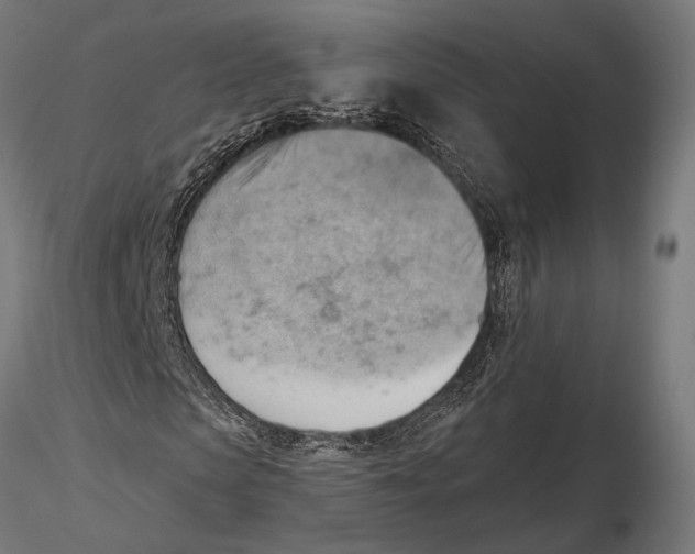 X0000115590913200912081045