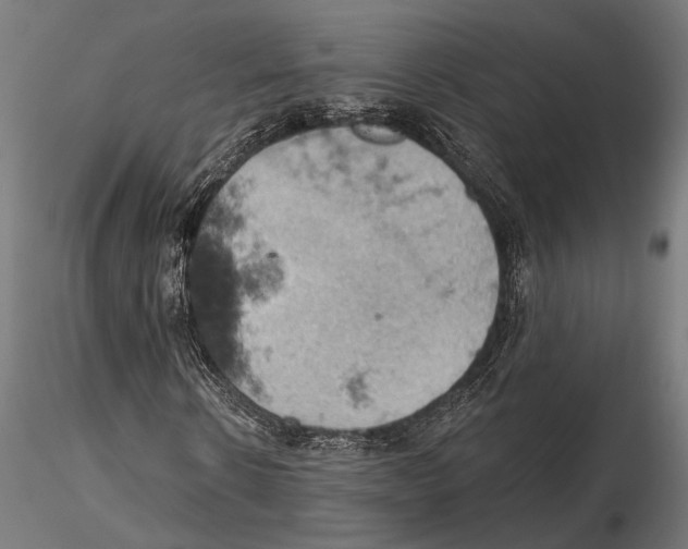 X0000115590914200912081045