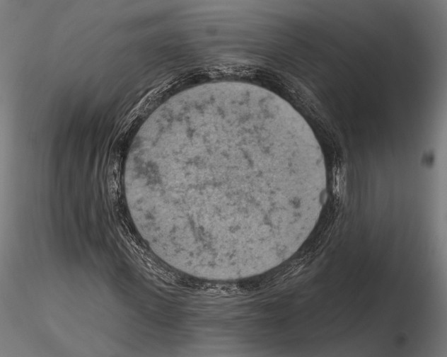 X0000115590915200912081045