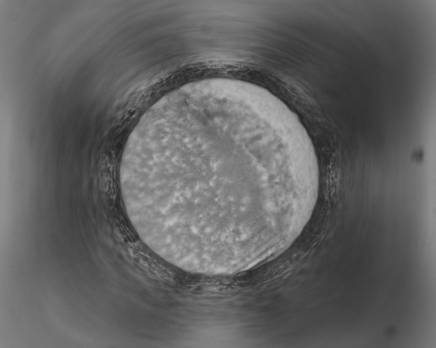 X0000115590917200912081045