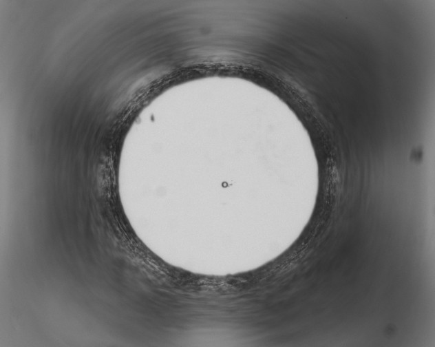 X0000115590918200912081045