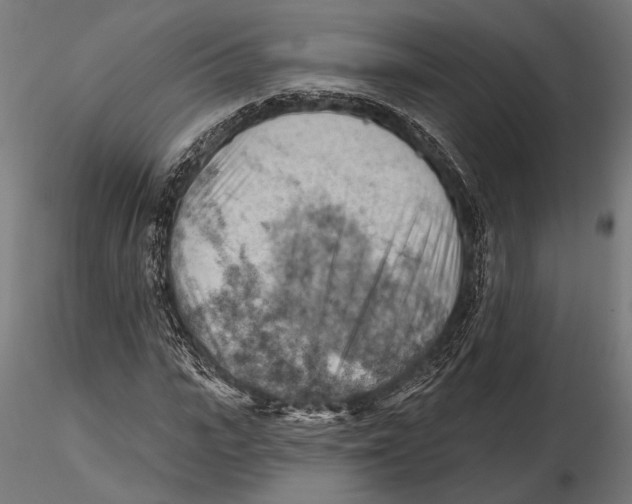 X0000115590919200912081045
