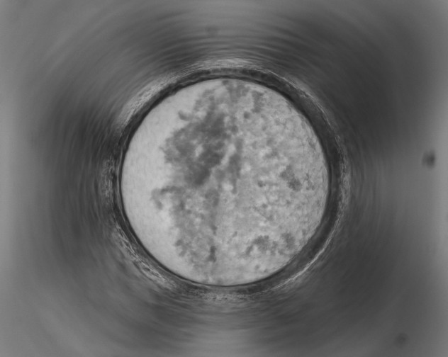 X0000115590921200912081045