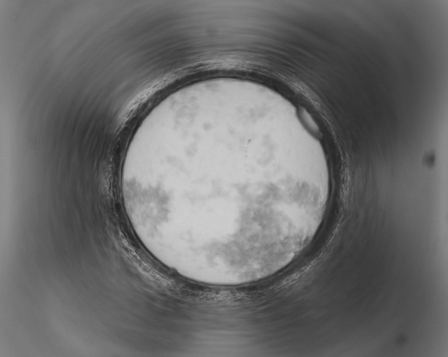 X0000115590922200912081045