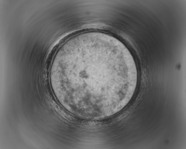 X0000115590923200912081046