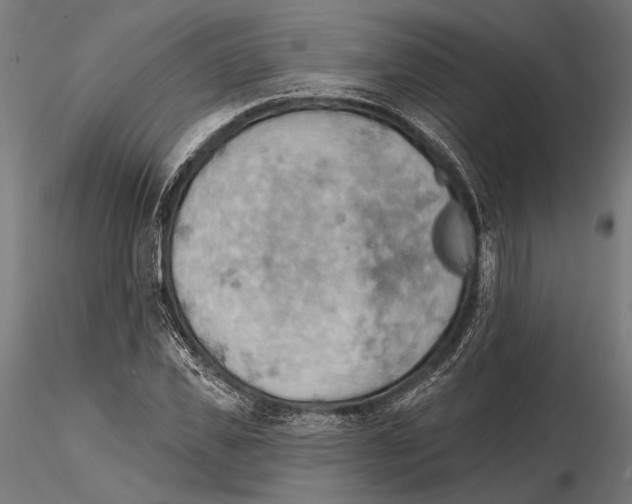 X0000115590925200912081046