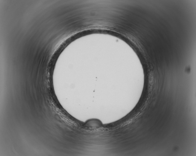 X0000115590926200912081046