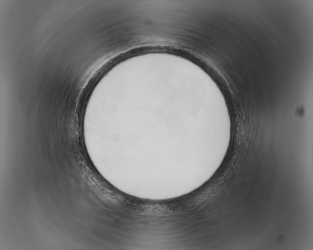X0000115590927200912081046