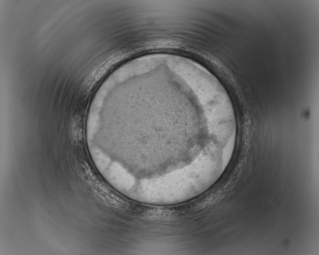 X0000115590929200912081046